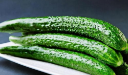 靖江小网红吃瓜pdf,揭秘背后真相与网络热议